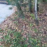 Na Mazurach-piasutno Dom wakacyjny Piasutno