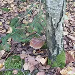 Dom wakacyjny Na Mazurach-piasutno