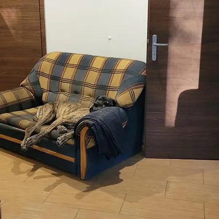 Na Mazurach-piasutno Holiday home Piasutno