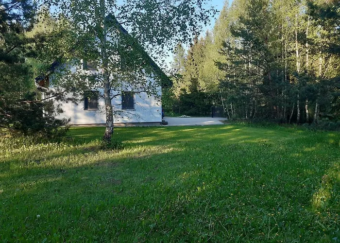 Na Mazurach-piasutno